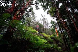 BIB: 
                            <button type="button" onclick="openModal(26201082)" class="btn btn-primary btn-sm float-right btn-popup" data-toggle="modal" data-target=".modal-high-quality">
                        <i class="fas fa-shopping-cart"></i> Add to Cart
                    </button>
                                            <button type="button" onclick="isThisMe(26201082, true)" class="btn btn-success btn-sm float-right btn-popup btn-isme hidden" data-toggle="tooltip" data-placement="bottom" title="นี่คือรูปของคุณใช่ไหม คลิกที่นี่เพื่อเอาเข้าอัลบั้ม">
                        <i class="fas fa-plus"></i> Add to album
                    </button>
                    <button type="button" onclick="isThisMe(26201082, false)" class="btn btn-warning btn-sm float-right btn-popup btn-isnotme hidden">
                        <i class="fas fa-ban"></i> Remove from album
                    </button>